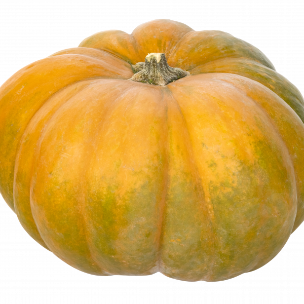 Courge Muscade 1kg - 1,2kg