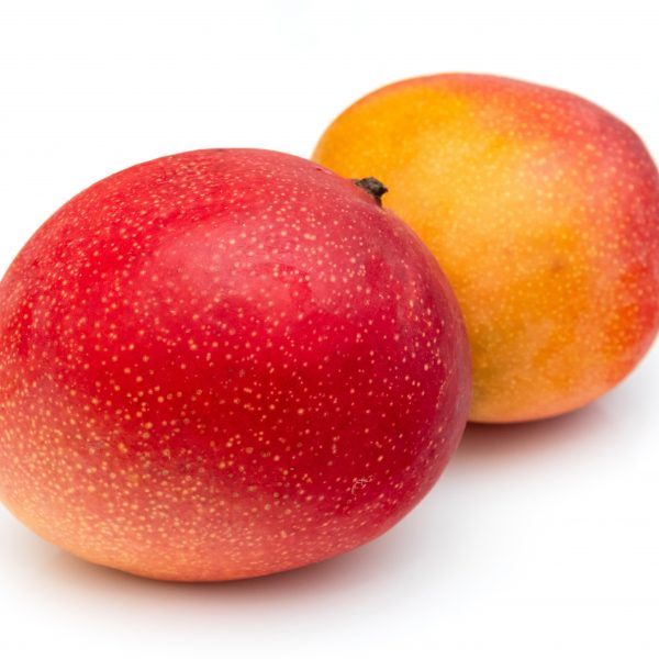 Mangue kent - La pièce