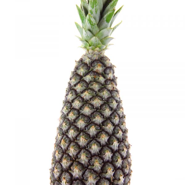 Ananas pain de sucre - La pièce
